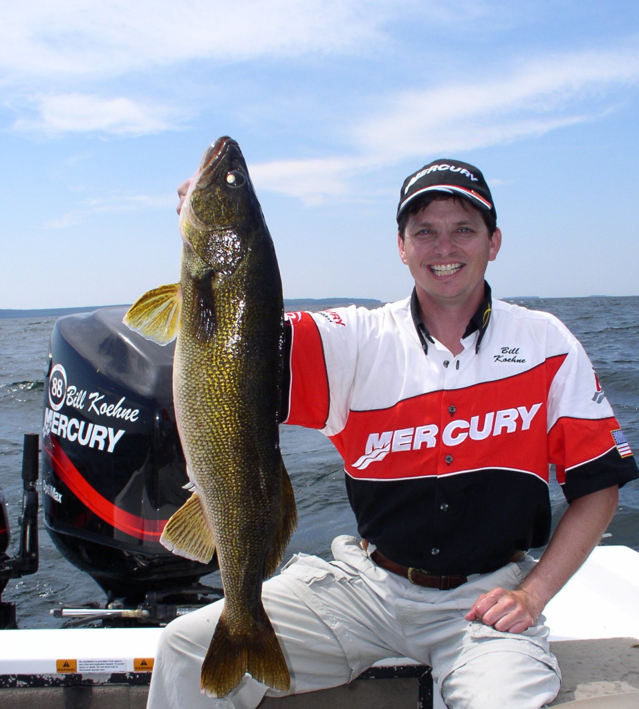 All 30+ Photos show me a picture of a walleye Sharp